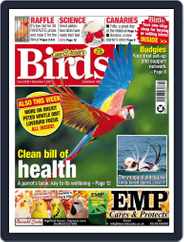 Cage & Aviary Birds (Digital) Subscription                    November 3rd, 2021 Issue