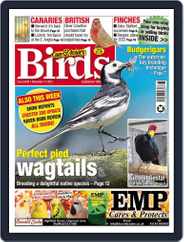 Cage & Aviary Birds (Digital) Subscription                    November 17th, 2021 Issue