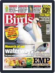 Cage & Aviary Birds (Digital) Subscription                    November 24th, 2021 Issue