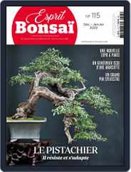Esprit Bonsai (Digital) Subscription                    December 1st, 2021 Issue
