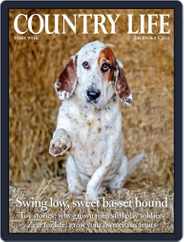 Country Life (Digital) Subscription                    December 8th, 2021 Issue