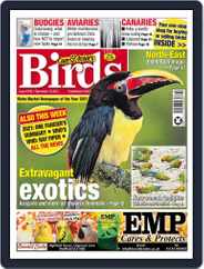 Cage & Aviary Birds (Digital) Subscription                    December 15th, 2021 Issue