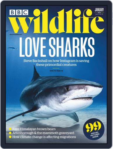 Bbc Wildlife January 1st, 2022 Digital Back Issue Cover