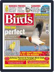 Cage & Aviary Birds (Digital) Subscription                    December 22nd, 2021 Issue