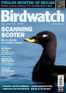 Birdwatch Digital Subscription Discounts