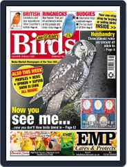 Cage & Aviary Birds (Digital) Subscription                    February 2nd, 2022 Issue