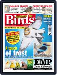 Cage & Aviary Birds (Digital) Subscription                    February 16th, 2022 Issue