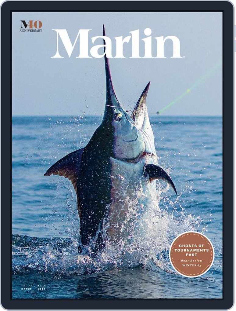 One-Year Subscription to Salt Water Sportsman or Marlin from Blue Dolphin  Magazines (50% Off)