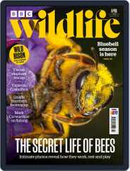 Bbc Wildlife (Digital) Subscription                    April 1st, 2022 Issue