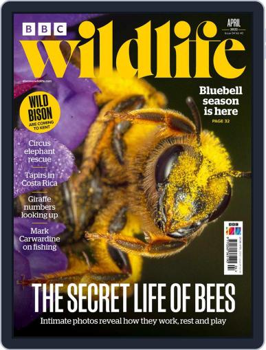 Bbc Wildlife April 1st, 2022 Digital Back Issue Cover