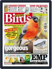 Cage & Aviary Birds (Digital) Subscription                    March 16th, 2022 Issue
