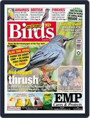 Cage & Aviary Birds (Digital) Subscription                    June 4th, 2022 Issue