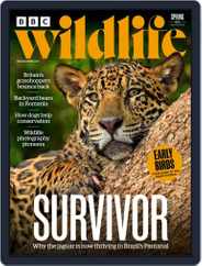 Bbc Wildlife (Digital) Subscription March 25th, 2022 Issue