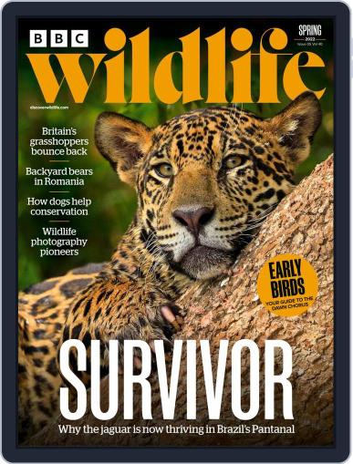 Bbc Wildlife March 25th, 2022 Digital Back Issue Cover
