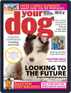 Digital Subscription Your Dog