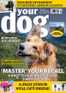 Your Dog Digital Subscription