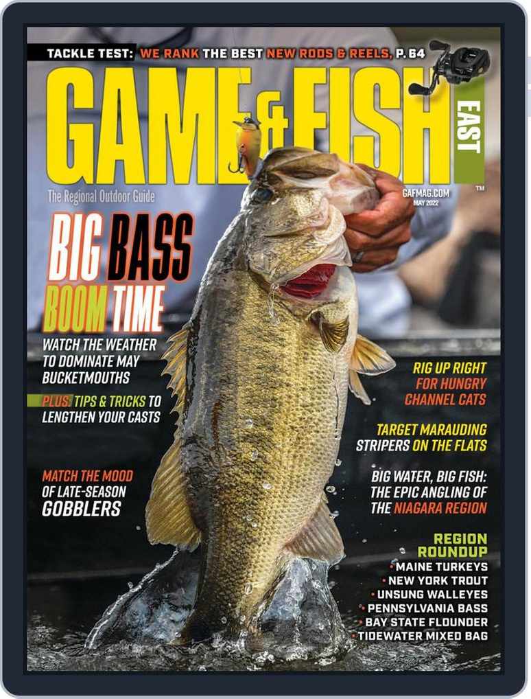 https://img.discountmags.com/https%3A%2F%2Fimg.discountmags.com%2Fproducts%2Fextras%2F471555-game-fish-east-cover-2022-may-1-issue.jpg%3Fbg%3DFFF%26fit%3Dscale%26h%3D1019%26mark%3DaHR0cHM6Ly9zMy5hbWF6b25hd3MuY29tL2pzcy1hc3NldHMvaW1hZ2VzL2RpZ2l0YWwtZnJhbWUtdjIzLnBuZw%253D%253D%26markpad%3D-40%26pad%3D40%26w%3D775%26s%3D88b70f711af8fda308b670c4dc9b65bb?auto=format%2Ccompress&cs=strip&h=1018&w=774&s=b7464cb9a7776706f2002ffa46c3cb52