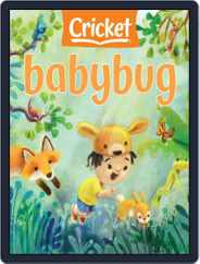 Babybug Stories, Rhymes, and Activities for Babies and Toddlers (Digital) Subscription                    May 1st, 2022 Issue