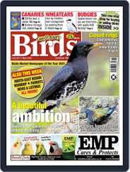 Cage & Aviary Birds (Digital) Subscription                    May 4th, 2022 Issue