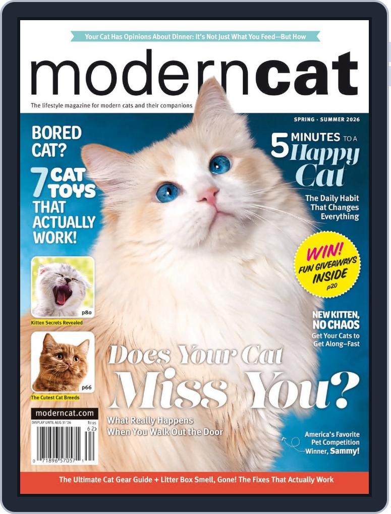 Modern Cat (Digital)