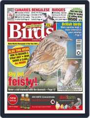 Cage & Aviary Birds (Digital) Subscription                    May 25th, 2022 Issue
