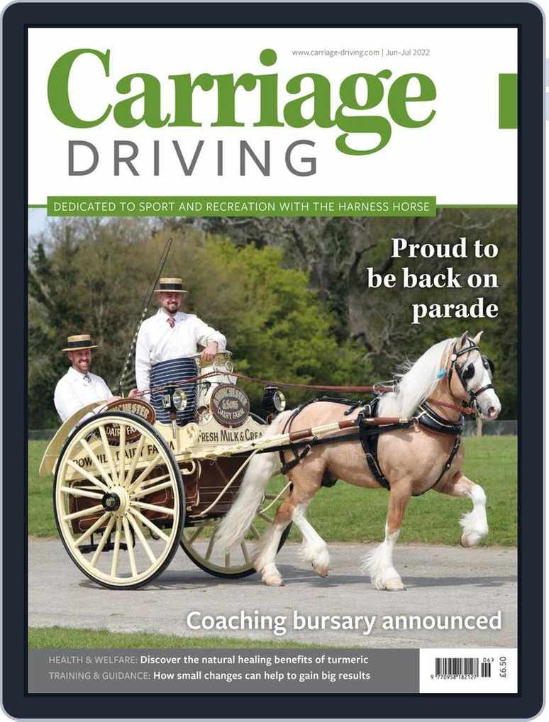 Turmeric for Horses: Discover The Benefits