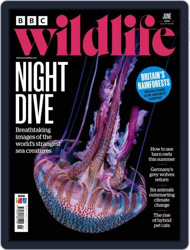 Bbc Wildlife June 1st, 2022 Digital Back Issue Cover