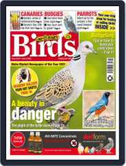 Cage & Aviary Birds (Digital) Subscription                    June 8th, 2022 Issue