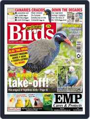 Cage & Aviary Birds (Digital) Subscription                    June 15th, 2022 Issue