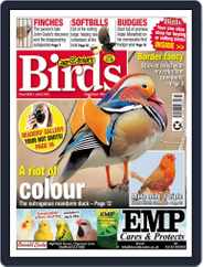 Cage & Aviary Birds (Digital) Subscription                    July 6th, 2022 Issue