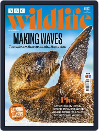 Bbc Wildlife August 1st, 2022 Digital Back Issue Cover