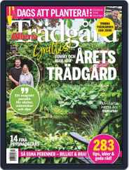 Allers Trädgård (Digital) Subscription                    August 1st, 2022 Issue