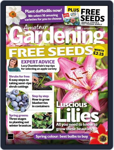 Amateur Gardening September 3rd, 2022 Digital Back Issue Cover