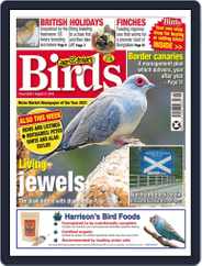 Cage & Aviary Birds (Digital) Subscription                    August 31st, 2022 Issue