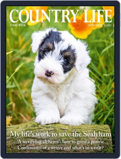 Country Life September 7th, 2022 Digital Back Issue Cover