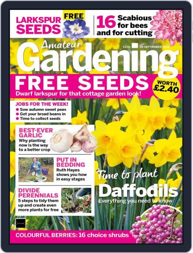 Amateur Gardening September 24th, 2022 Digital Back Issue Cover