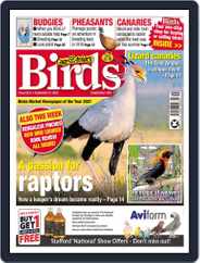 Cage & Aviary Birds (Digital) Subscription                    September 21st, 2022 Issue