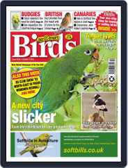 Cage & Aviary Birds (Digital) Subscription                    October 5th, 2022 Issue