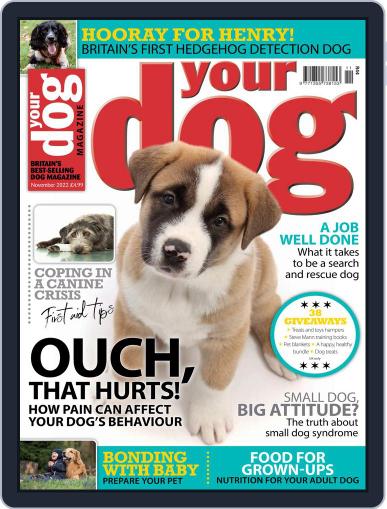 Your Dog November 1st, 2022 Digital Back Issue Cover