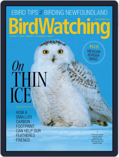 BirdWatching November 1st, 2022 Digital Back Issue Cover