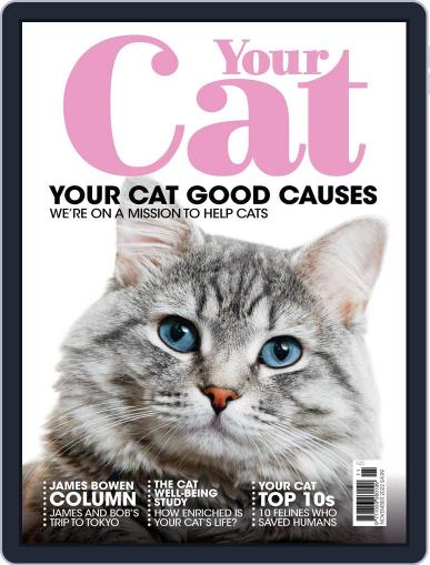 Your Cat November 1st, 2022 Digital Back Issue Cover