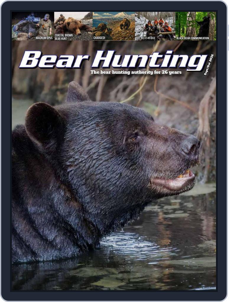 Bear Hunting