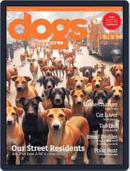 Dogs & More Magazine (Digital) Subscription