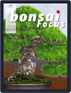 Bonsai Focus De Digital Subscription