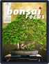 Bonsai Focus De Digital Subscription Discounts