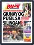 Banat News Digital Subscription