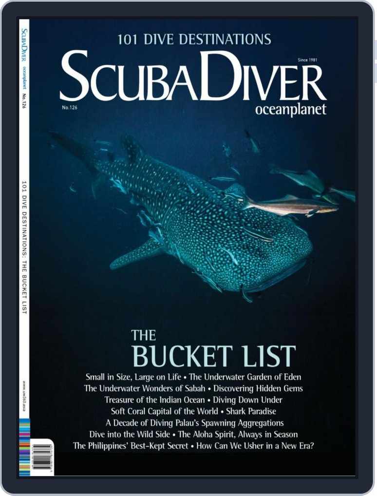 shark diver magazine