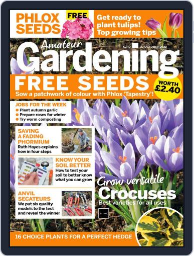 Amateur Gardening October 22nd, 2022 Digital Back Issue Cover