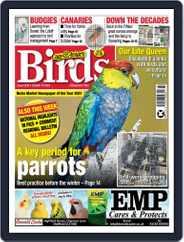 Cage & Aviary Birds (Digital) Subscription                    October 19th, 2022 Issue