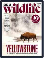 Bbc Wildlife (Digital) Subscription                    November 1st, 2022 Issue